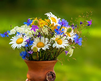 Beautiful flowers, vase, flowers, bloom, petals HD wallpaper