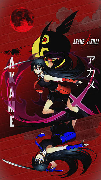 Akame (from Akame ga kill), Anime, Akame ga Kill! HD phone wallpaper