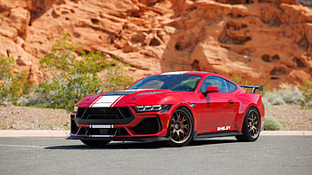 2024 Shelby Super Snake, car, muscle car, shelby, Shelby Super Snake HD wallpaper