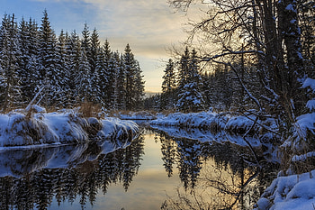 Winter river, winter, river, snow, trees, water, sunrise HD wallpaper