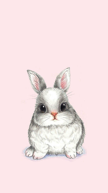 Rabbit , Mobile device backgrounds, Bunny cuteness, On-the-go charm HD phone wallpaper