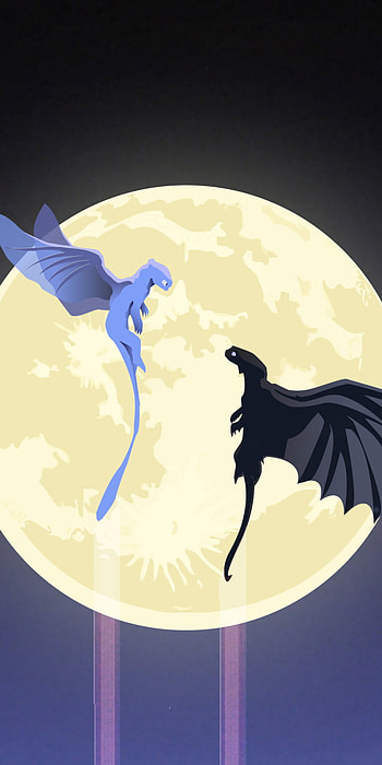 Toothless & Light Fury Soar: How to Train Your Dragon , Toothless (How to Train Your Dragon), dragon, movie, How to Train Your Dragon: The Hidden World HD phone wallpaper