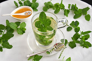Tea, Spearmint HD wallpaper