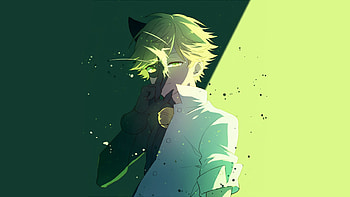 Pretty miraculous tales of ladybug and cat noir HD wallpaper