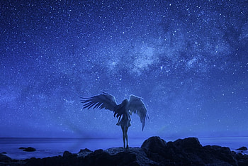 Angel, sea, back, wings, anime, girl, stars HD wallpaper