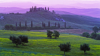Tuscany Hills,Italy, field, green, meadow, nature, village HD wallpaper