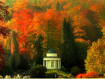 Wilhelmshohe park Germany, , trees, wilhelmshohe park, germany, autumn HD wallpaper