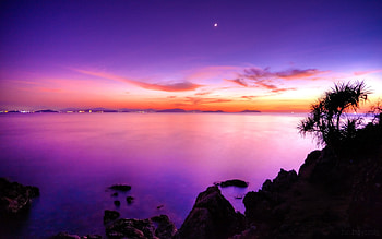 Pink Sunset, pink, sunset, nature HD wallpaper