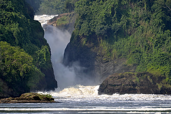 Uganda travels, Murchison falls national park, African wildlife, Natural beauty HD wallpaper