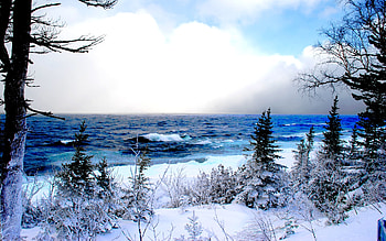 FROSTY BEACH, winter, waves, plants, trees, sky, beach HD wallpaper