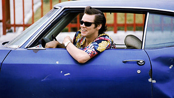 Jim Carrey, Ace Ventura, Backgrounds HD wallpaper