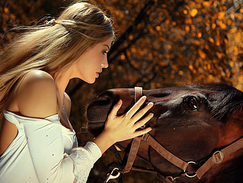 My best friend, animal, horse, girl, woman, lady, love, best, friend, rider HD wallpaper