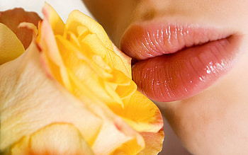 Pink, Flower, Macro, Tenderness, Lips HD wallpaper