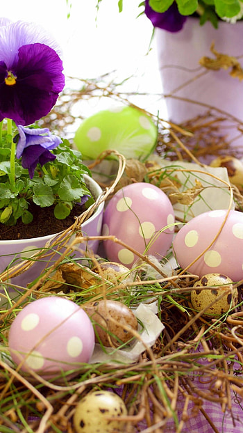 Easter, Light Pink HD phone wallpaper