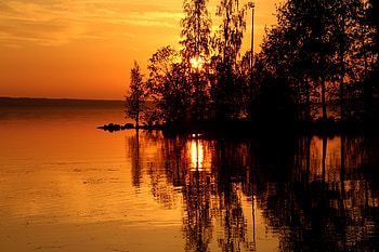 Nature, Trees, Sunset, Beams, Rays HD wallpaper