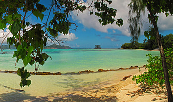 Landscape, Nature, Leaves, Sea, Beach, Seychelles La Digue HD wallpaper