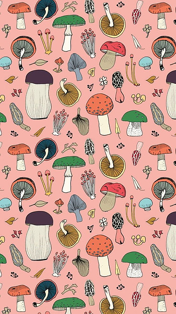 mushroom, pink HD phone wallpaper