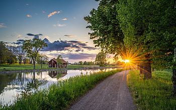 Road to Sun, river, sunbeams, road, house, trees HD wallpaper