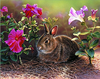 rabbit in the flowers, natur, flowers, animals, rabbit HD wallpaper