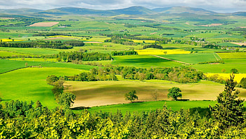 Hepburn landscape, England, Green, Fields, Grass, Trees, Landscape, Hills HD wallpaper