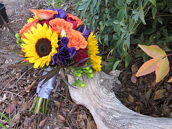 Bright September, september, roses, entertainment, orange, precious, purple, fashion, sunflowers, bright, love, yellow, forever HD wallpaper