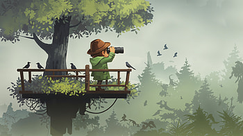 Birdwatching Adventure, birdwatching, treehouse, boy, binoculars, bird HD wallpaper