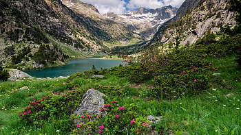 Mountain paradise, freshness, paradise, meadow, grass, rocks, mountain, lake, hills, beautiful, view HD wallpaper