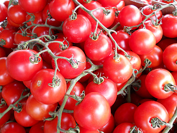Food, Vegetables, Branch, Tomatoes HD wallpaper