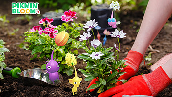 Pikmin Bloom : Vibrant Garden Adventure, Pikmin HD wallpaper