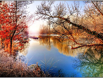 Frosty morning, river, morning, frosty, water mirror, trees, autumn, nature, sky, water HD wallpaper