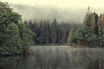 Lake, mist, fog, nature HD wallpaper