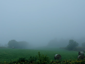Field Of Mist And Fog, graphy, Mist, Grass, Field, Nature, Hay HD wallpaper