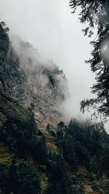 Nature, Trees, Mountain, Fog, Switzerland, Slope HD phone wallpaper