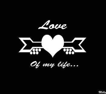 Love of my life, white, black, arrows, life, love, heart HD wallpaper