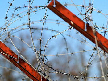 No Entrance No Exit, barrier, barbwire, fence HD wallpaper