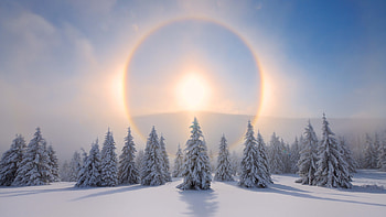 Halo Around The Sun Ore Mountains Saxony Germany, nature, mountains, mountain, sun, tree, sky, snow HD wallpaper