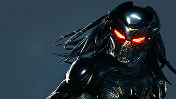 predator, Stunning visuals, High resolution, Film fan's delight HD wallpaper