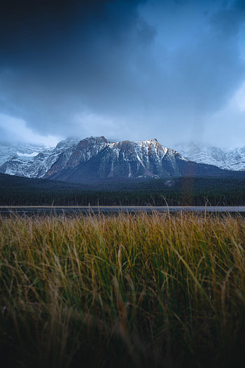 Nature, Grass, Mountains, Snow, Road HD phone wallpaper