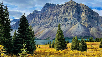 Vulture Peak and Bow Lake in Banff, Alberta, canada, mountain, clouds, trees, landscape, sky HD wallpaper