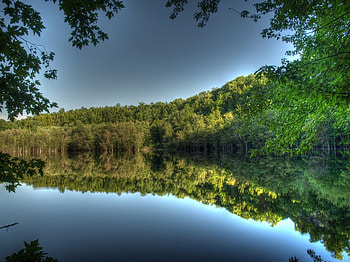 seeing_the_forest, reflection, sky, nature, forest, lake HD wallpaper