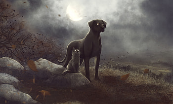 Art, Friendship, Cat, Dog, Friends HD wallpaper