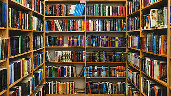 Library backgrounds, Reading sanctuary, Cozy nooks, Tranquil ambiance HD wallpaper
