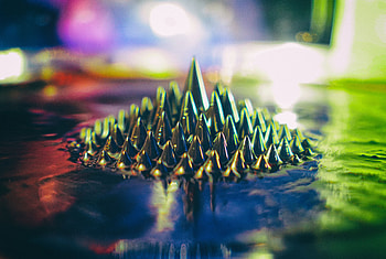 Macro, Shine, Light, Wet, Thorns, Spikes HD wallpaper