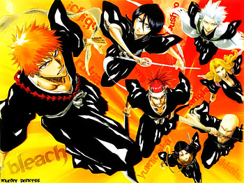 We or the soul reapers, bleach, anime, soul reapers, fighters HD wallpaper
