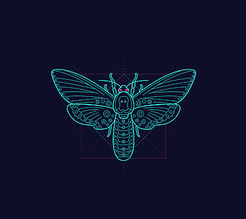 Art, Pattern, Butterfly, Symmetry, Geometry, Moth HD wallpaper