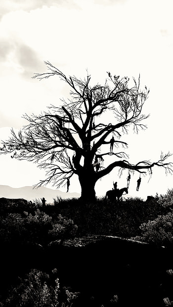 Dead Mans Tree, video game, The Witcher 3: Wild Hunt HD phone wallpaper