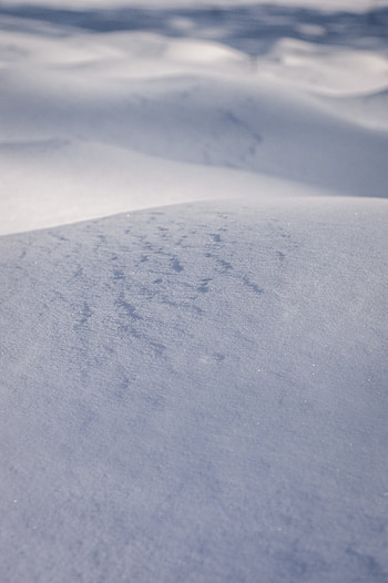 Winter, Nature, Snow, Hills HD phone wallpaper