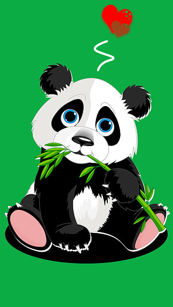 Animal, panda HD phone wallpaper