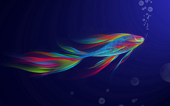Abstract, Swimming, Rainbow, Form, Iridescent, Fish HD wallpaper