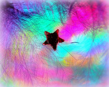 ✫Single Star✫, beloved valentines, graphy, cute, colors, feather, single star, macro, objects, beautiful, creative pre-made, love four seasons, star, still life, rainbow, cool, softness beauty, lovely HD wallpaper